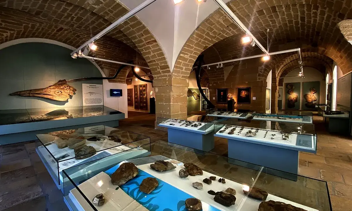 Ausstellung im Kloster Banz mit Fossilien und Artefakten in Vitrinen unter Gewölbedecken.