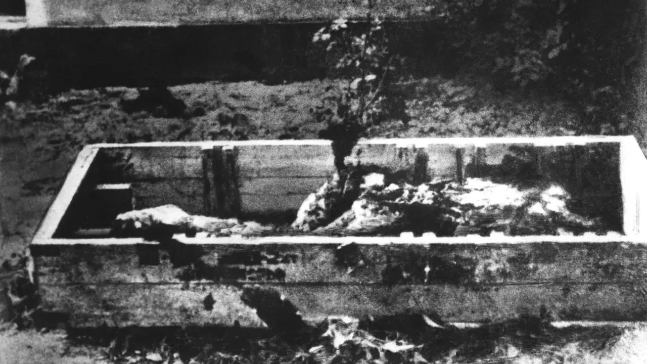 Holzkiste mit Leichenteilen, ein Baum wächst hindurch. Ein trauriges Zeugnis der Schrecken vom 30. April 1945.