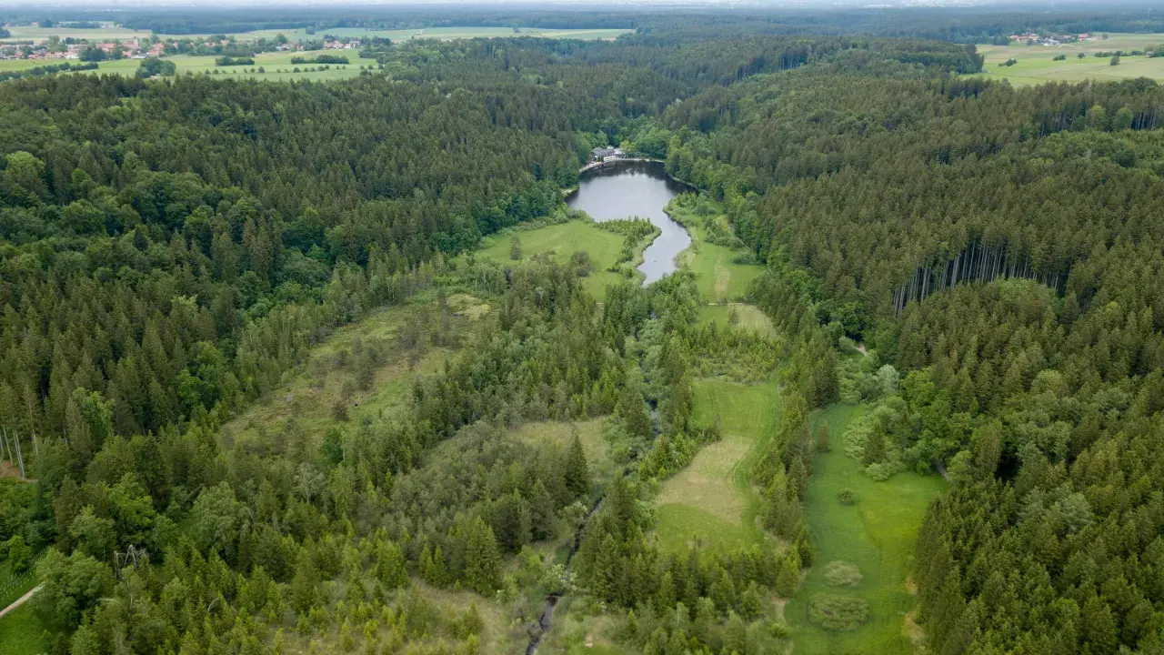 Luftaufnahme des Erdinger Mooses mit einem See und umliegenden Wäldern.