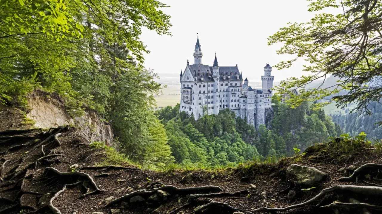 Schloss Neuschwanstein, dessen Baujahr 1869 war, thront majestätisch auf einem Felsen, umgeben von üppigem Grün und verwurzelten Bäumen.