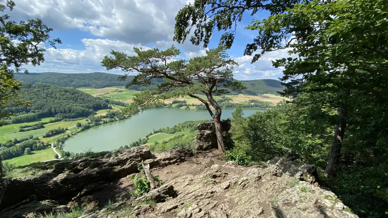 Felsiger Aussichtspunkt mit Kiefer über einem grünen Fluss und Hügeln in der Region Franken.