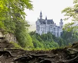 Schloss Neuschwanstein, dessen Baujahr 1869 war, thront majestätisch auf einem Felsen, umgeben von üppigem Grün und verwurzelten Bäumen.