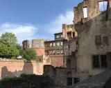 Ruinen des Heidelberger Schlosses, einst Sitz von Friedrich V. Ein Baum und blauer Himmel mit Wolken.
