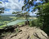 Felsiger Aussichtspunkt mit Kiefer über einem grünen Fluss und Hügeln in der Region Franken.