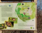 Karte des Obstbau- und Streuobst-Erlebnis-Landschafts-Weges in Markt Berolzheim mit Infos zu Flora, Fauna und Route.