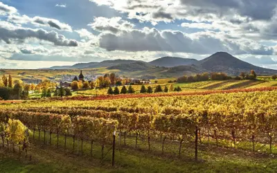 Herbstliche Weinberge in der bayerischen Pfalz, mit einem Dorf im Tal und sanften Hügeln im Hintergrund.