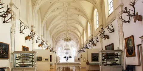 Prunkvolle Halle des deutschen Jagd- und Fischereimuseums mit Geweihen, Waffen und Gemälden.