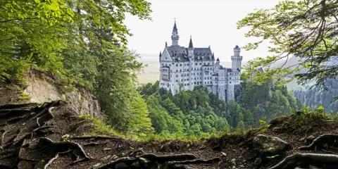 Schloss Neuschwanstein, dessen Baujahr 1869 war, thront majestätisch auf einem Felsen, umgeben von üppigem Grün und verwurzelten Bäumen.