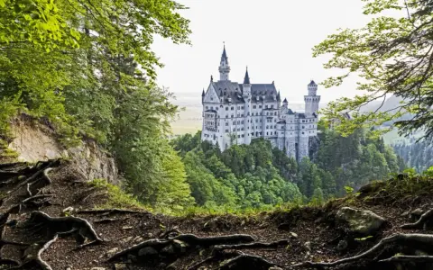 Schloss Neuschwanstein, dessen Baujahr 1869 war, thront majestätisch auf einem Felsen, umgeben von üppigem Grün und verwurzelten Bäumen.