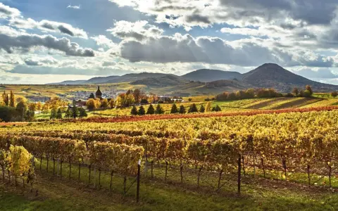 Herbstliche Weinberge in der bayerischen Pfalz, mit einem Dorf im Tal und sanften Hügeln im Hintergrund.