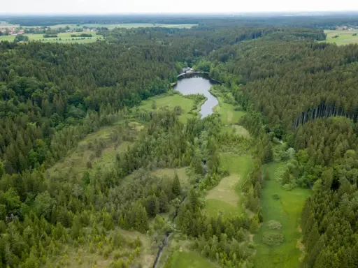 Luftaufnahme des Erdinger Mooses mit einem See und umliegenden Wäldern.