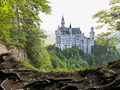 Schloss Neuschwanstein, dessen Baujahr 1869 war, thront majestätisch auf einem Felsen, umgeben von üppigem Grün und verwurzelten Bäumen.