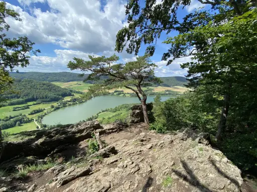 Felsiger Aussichtspunkt mit Kiefer über einem grünen Fluss und Hügeln in der Region Franken.