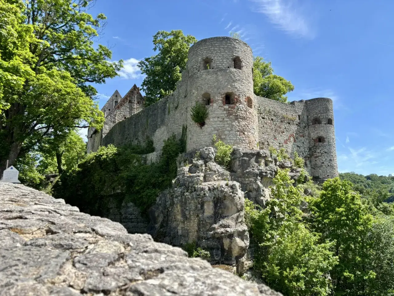 Die Burg Pappenheim thront auf einem Felsen, umgeben von &uuml;ppigem Gr&uuml;n. Ein m&auml;chtiger Rundturm und steinerne Mauern zeugen von ihrer Geschichte.
