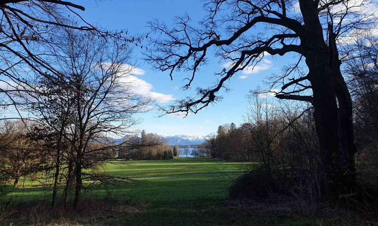 Blick durch kahle &Auml;ste auf eine gr&uuml;ne Wiese, den Starnberger See und schneebedeckte Berge bei Bernried am Starnberger See.