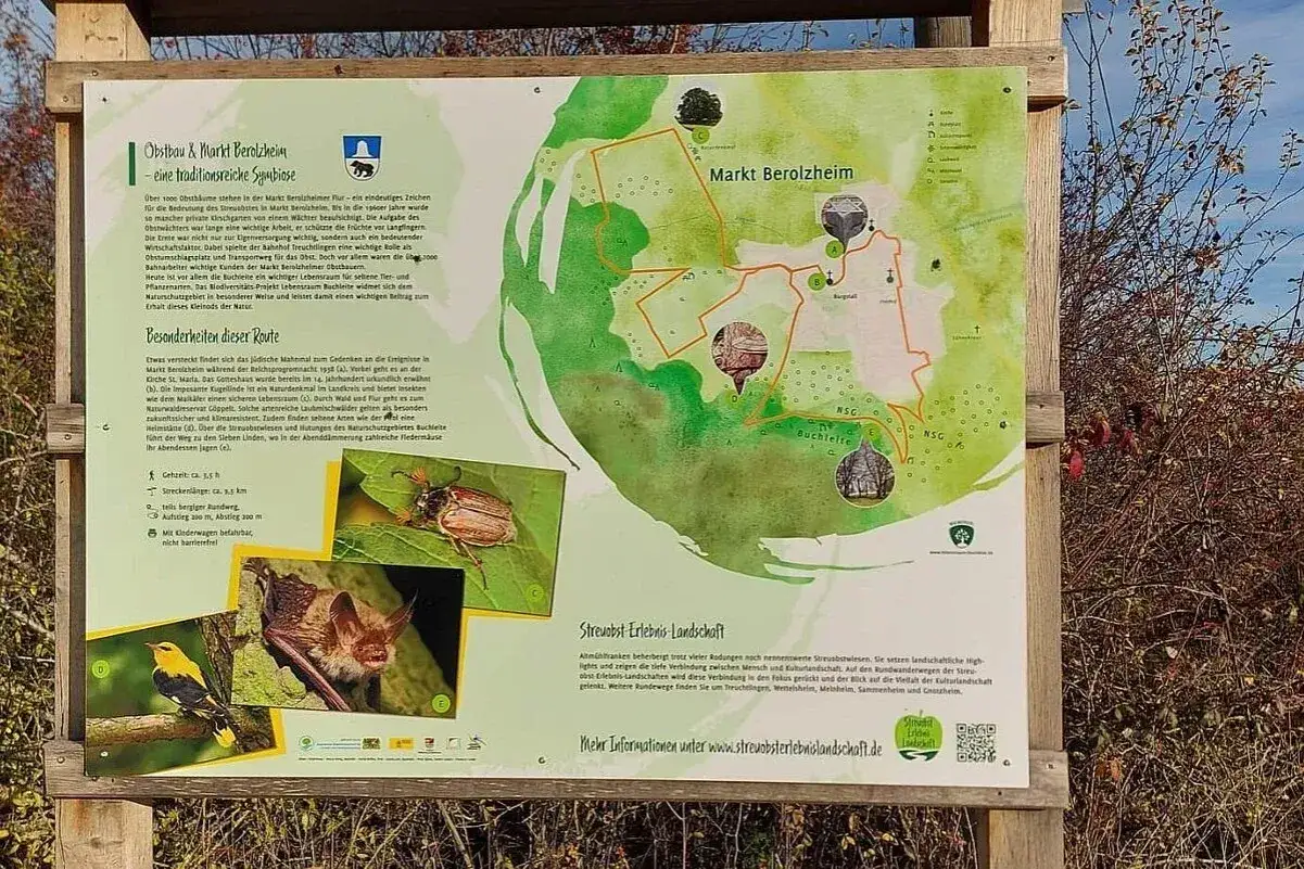 Infotafel zum Obstbau & Markt Berolzheim: Karte zeigt Route, Bilder von Käfer, Fledermaus und Vogel. Streuobst-Erlebnis-Landschaft.