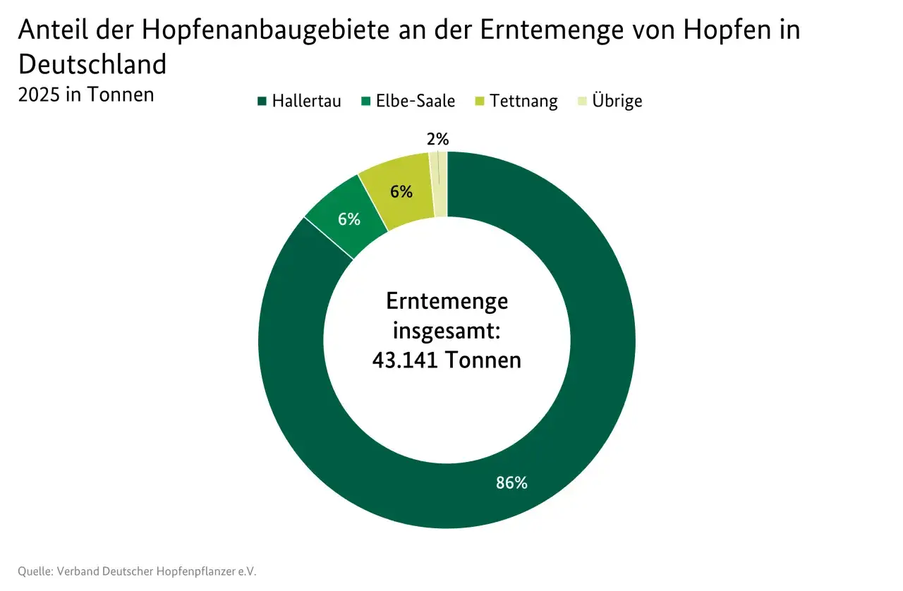 Kreisdiagramm zeigt den Hopfenanbau in Deutschland 2025. Hallertau dominiert mit 86% der Erntemenge.