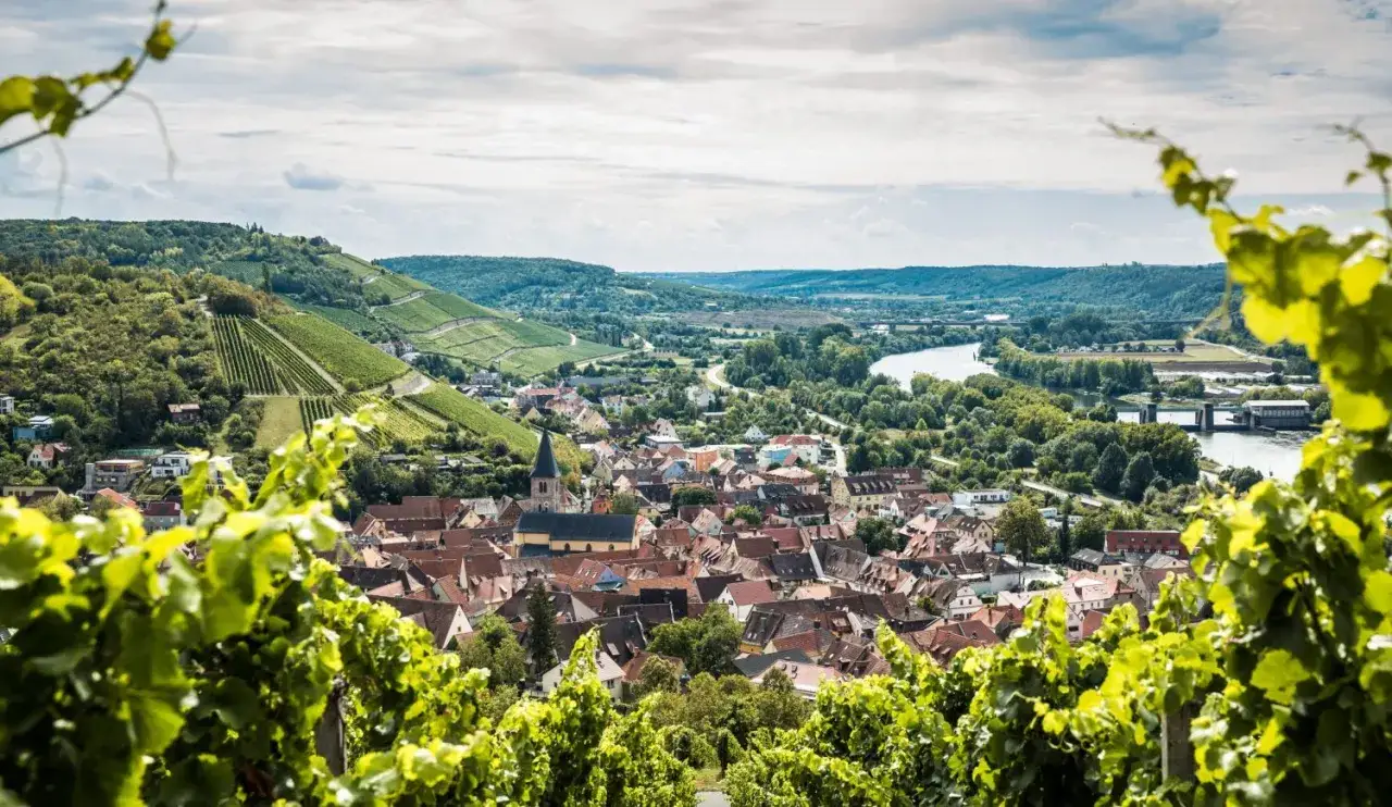 Weinberge und ein malerisches Dorf am Flussufer in der Region Franken.