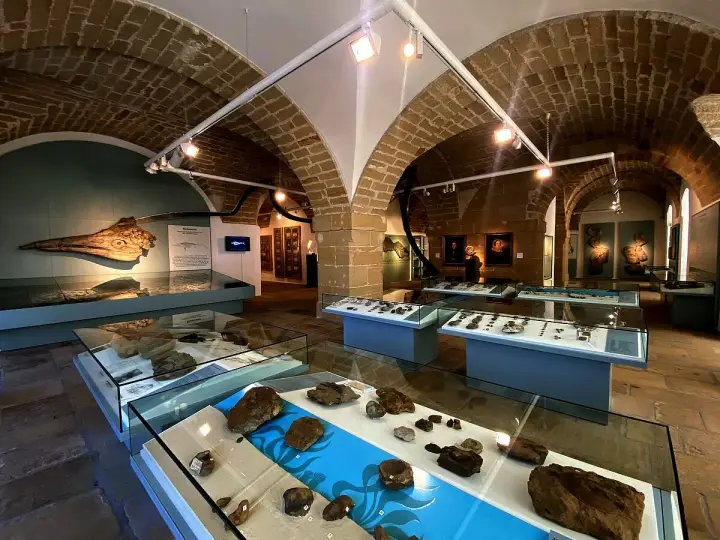 Ausstellung im Kloster Banz mit Fossilien und Artefakten in Vitrinen unter Gewölbedecken.
